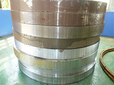 轉筒烘干機大擋輪